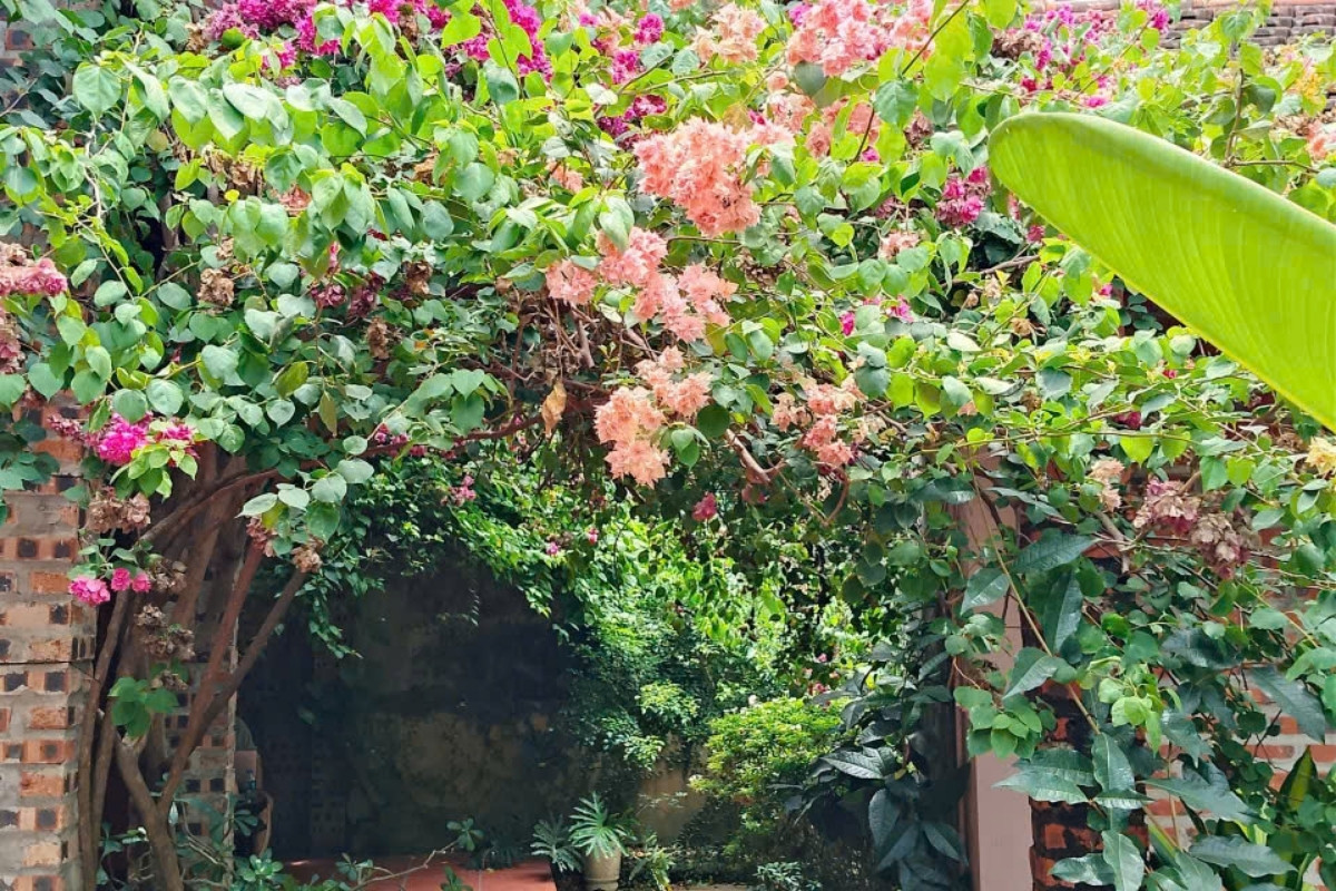 Nature Ninh Binh Homestay