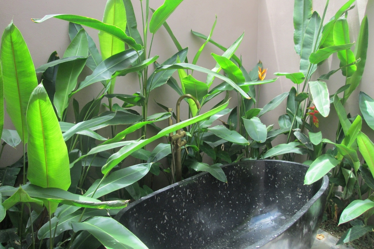 Nature Ninh Binh Homestay