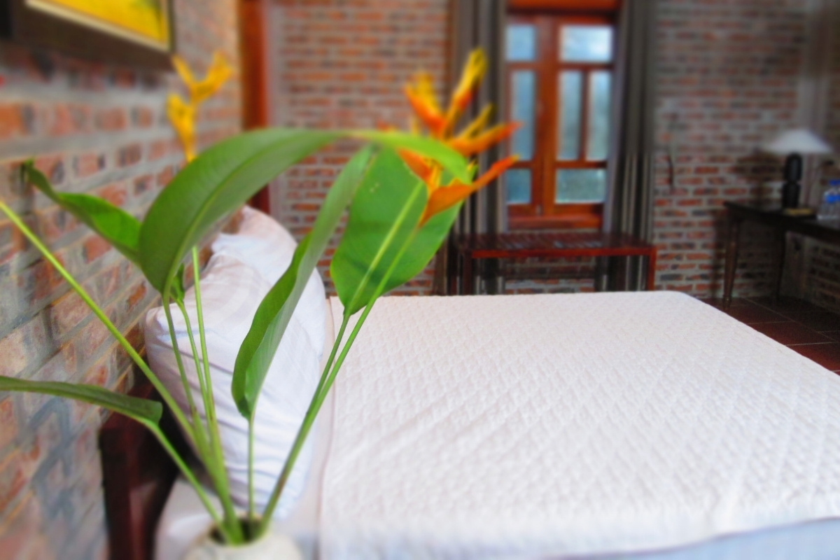 Nature Ninh Binh Homestay